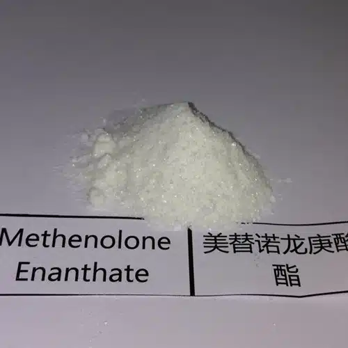 Buy Methenolone Enanthate Powder